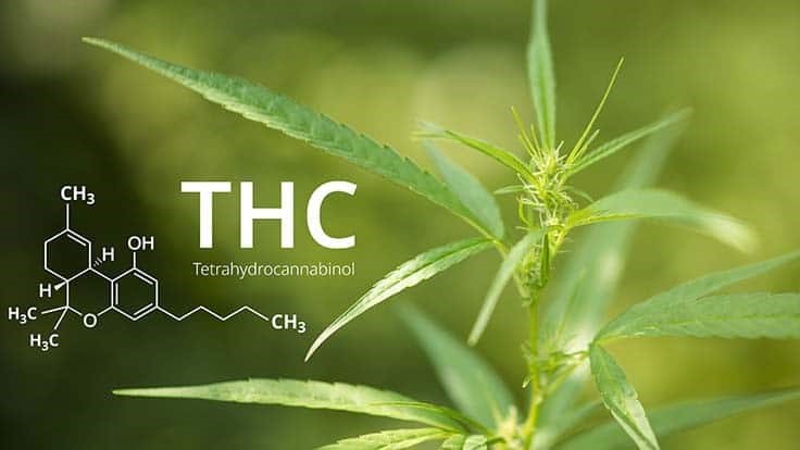 Benefits of Delta 9 THC
