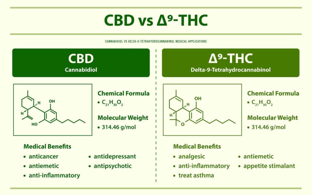 CBD versus Delta 9 THC