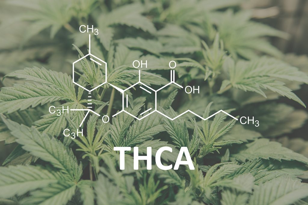 THCa