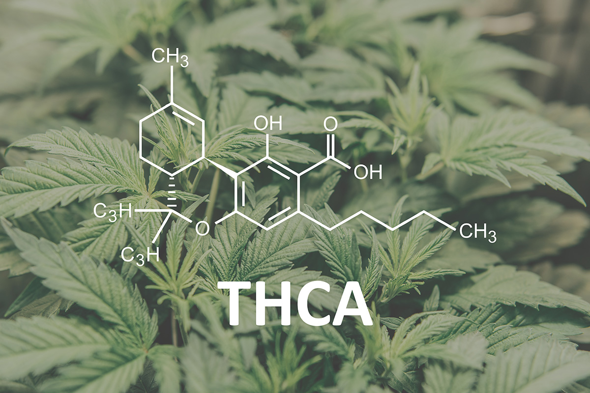 THCa