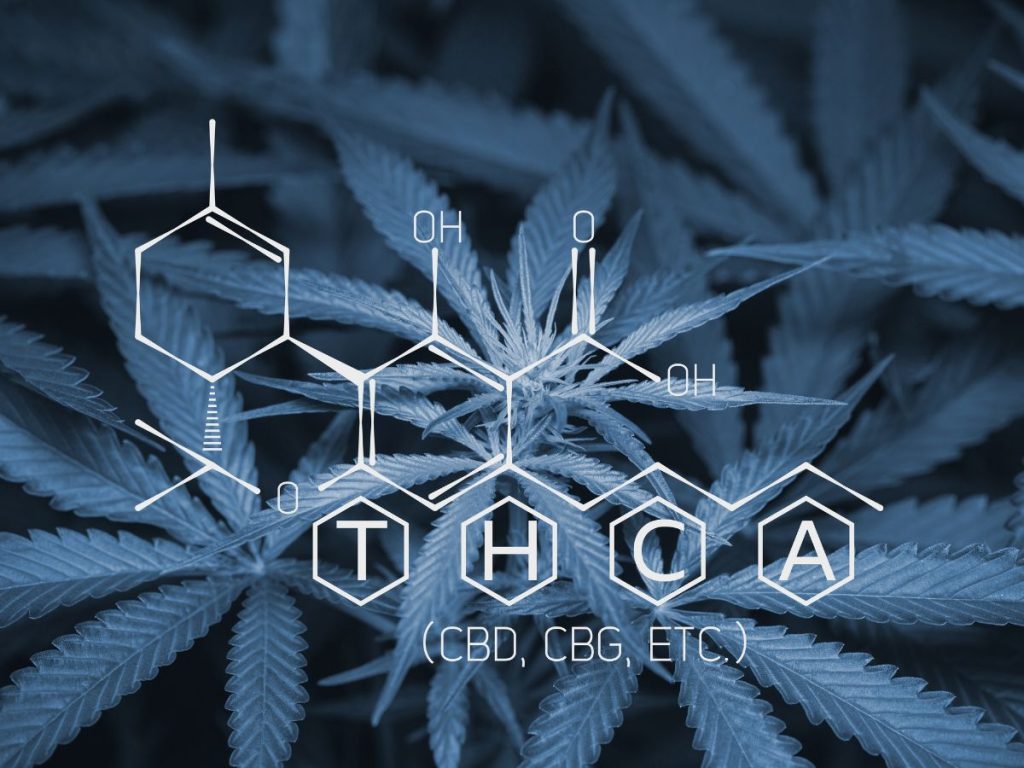 Benefits of THCa